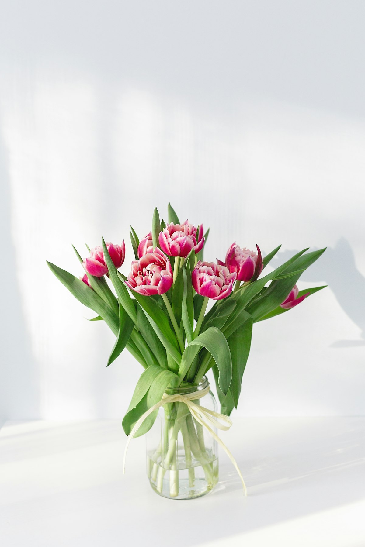 Flores e delicadeza